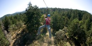 Adrena LINE Zipline Adventure Tours