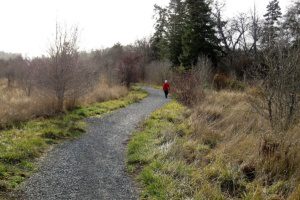 Colquitz River Trail - Inner Trail - In Saanich BC