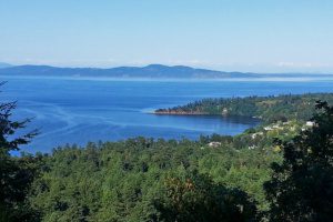 The view from atop Mount Douglas Park in Saanich BC