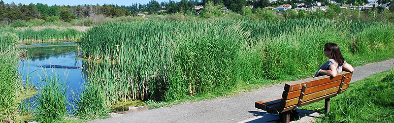 Rithet's Bog in Saanich near Oak Street Dental