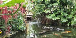 Victoria Butterfly Gardens